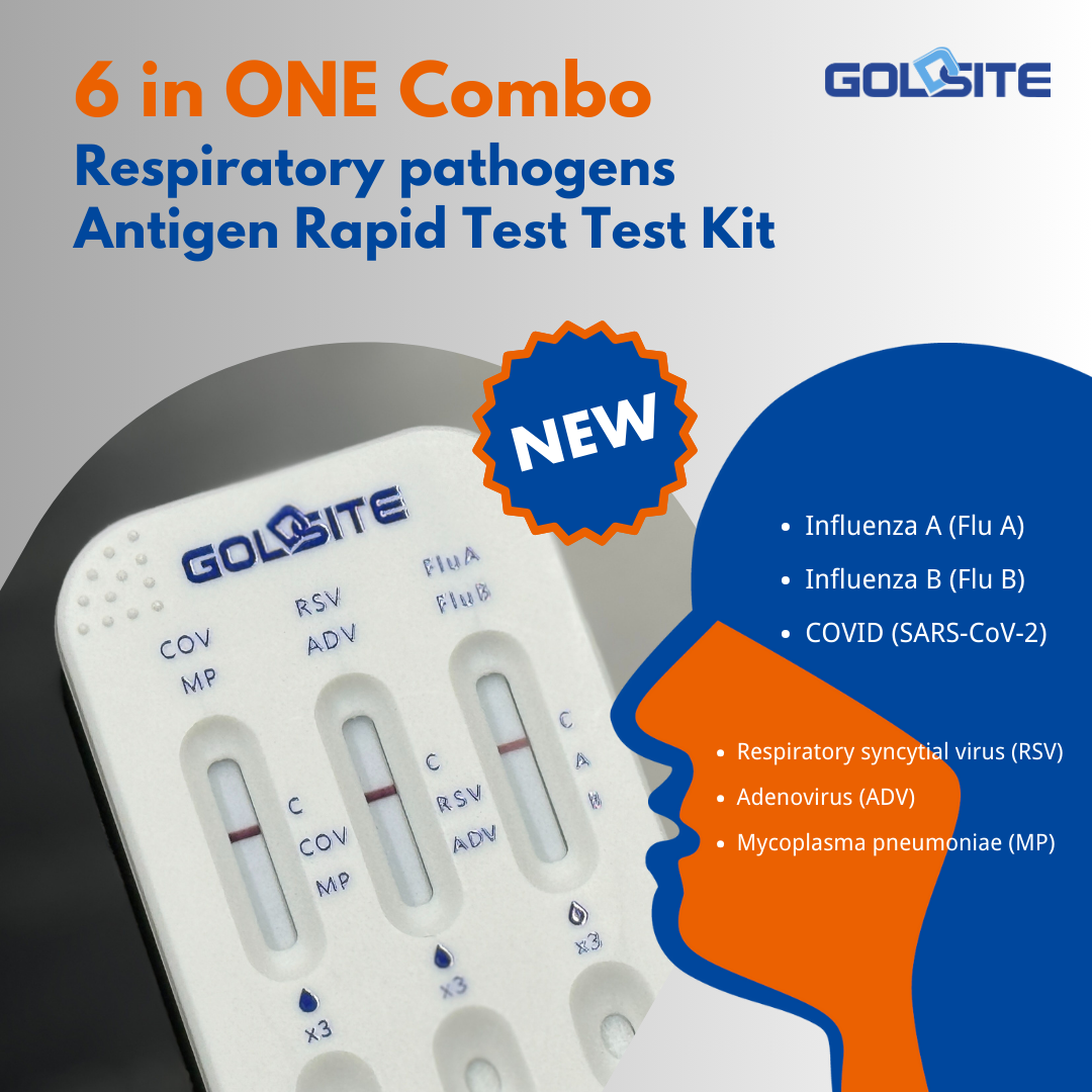 goldsite 6 en un combo 3