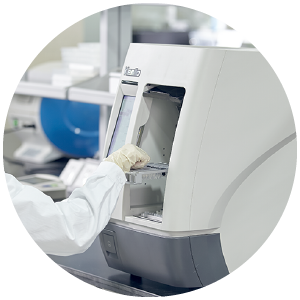 ????? ???? 6 ?? ????