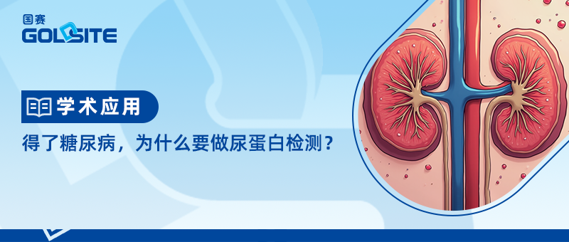 �����������ΪʲôҪ���򵰰׼����