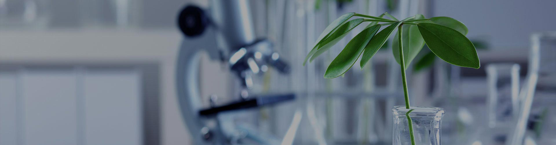 ����ǰ�������Ƽ����������ཡ����